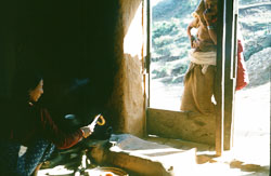 SU-0061.jpg SU-0061.jpg