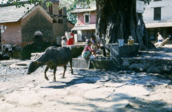 SU-0067.jpg SU-0067.jpg