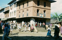 SU-0068.jpg SU-0068.jpg