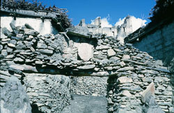 SU-0082.jpg SU-0082.jpg