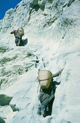 SU-0089.jpg SU-0089.jpg