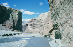 SU-0090.jpg SU-0090.jpg