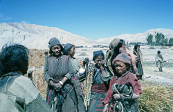 SU-0093.jpg SU-0093.jpg