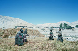 SU-0094.jpg SU-0094.jpg