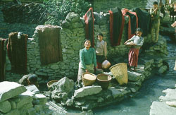 SU-0100.jpg SU-0100.jpg