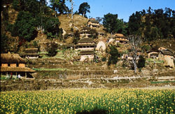 SU-0104.jpg SU-0104.jpg