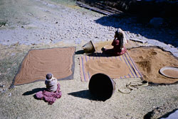 SU-0113.jpg