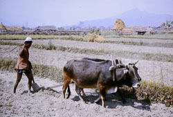 SU-0127.jpg