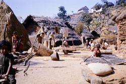 SU-0138.jpg