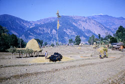 SU-0141.jpg