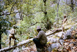 SU-0142.jpg
