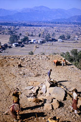 SU-0145.jpg