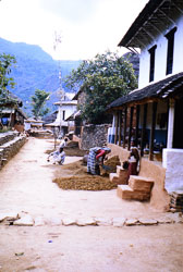 SU-0146.jpg