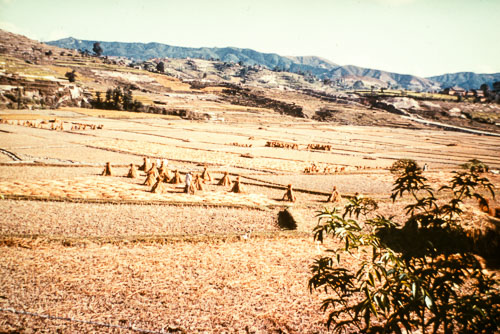 SA_CS000029.jpg