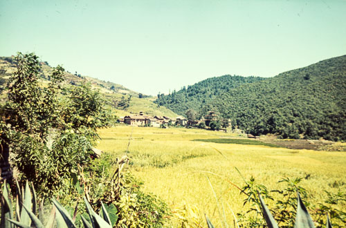 SA_CS000065.jpg