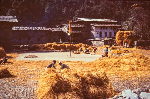 SA_CS000174.jpg
