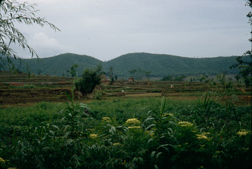 SA_FS000217.jpg SA_FS000217.jpg