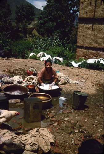 SA_FS000257.jpg SA_FS000257.jpg