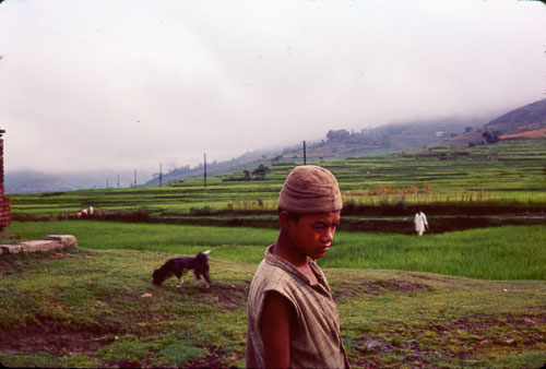 SA_FS000314.jpg SA_FS000314.jpg