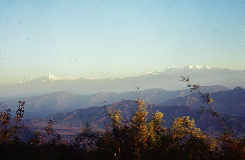SA_FS000366.jpg SA_FS000366.jpg
