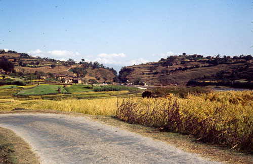 SA_FS000370.jpg SA_FS000370.jpg
