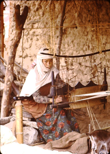 PS028.jpg PS028.jpg