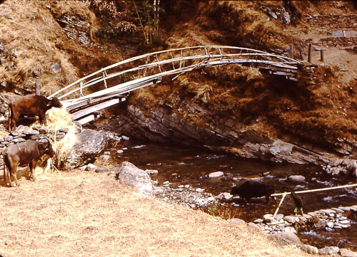 PS289.jpg PS289.jpg