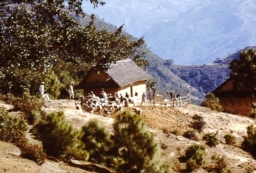 PS299.jpg PS299.jpg