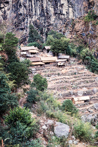 TM_CS0011.jpg TM_CS0011.jpg