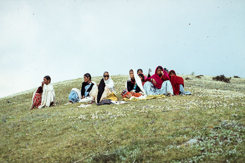TM_CS0059.jpg