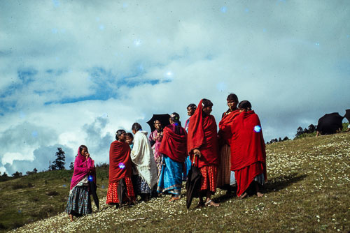 TM_CS0083.jpg