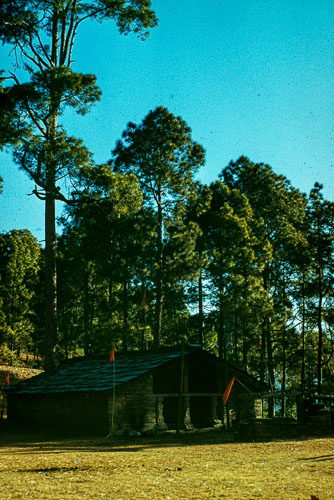 TM_CS0087.jpg