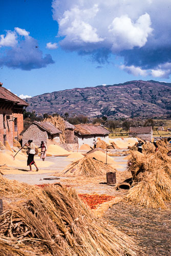 TM_CS0098.jpg
