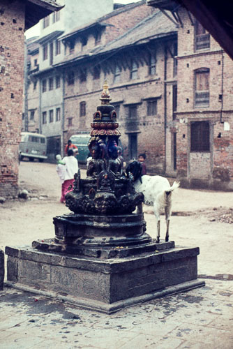 TM_CS0110.jpg