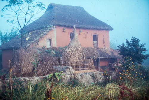TM_CS0117.jpg
