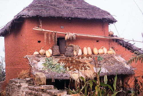 TM_CS0121.jpg