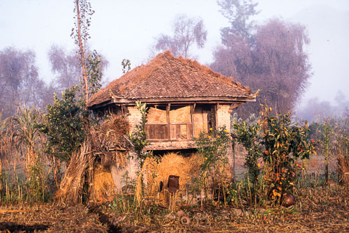 TM_CS0126.jpg