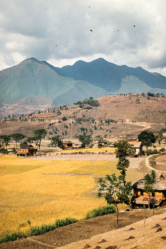 TM_CS0128.jpg