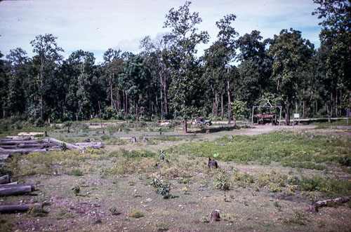 TM_CS0158.jpg TM_CS0158.jpg
