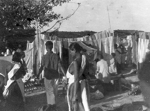 biratnagar004.jpg biratnagar004.jpg