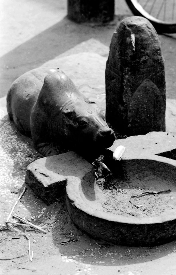 bull-statue-kathmandu-nepal-circa-1973_5626324525_o.jpg