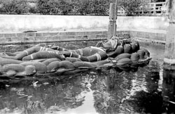 buddha-nil-kantha-kathmandu-nepal-circa-1973_5626389563_o.jpg