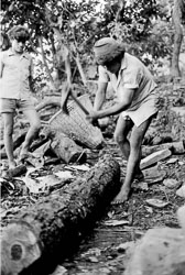 chopping-wood-gurung-village-nepal-circa-1973-74_4427534693_o.jpg