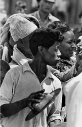 gai-jatra-pokhara-kaski-district-nepal-circa-1973-74_4249862020_o.jpg