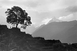 himalayan-landscape-machapuchare-fish-tail-mountain-nepal-circa-1973-74_4318161292_o.jpg