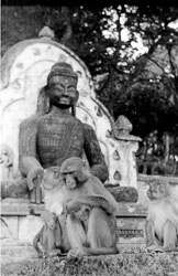 kathmandu-nepal-circa-1965_5626806012_o.jpg