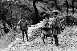 kids-and-goat-mauja-gurung-village-kaski-distdrict-nepal-circa-1973-74_4249849554_o.jpg