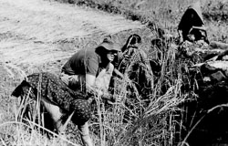 photographer-assisting-rice-harvest-mauja-village-kaski-district-nepal-circa-1973-74_4141977809_o.jpg