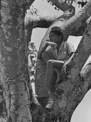 portrait-pokhara-kaski-district-nepal-circa-1973-74_4284650432_o.jpg