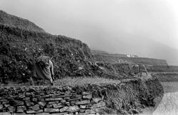 rice-fields-gurung-village-nepal-circa-1973-74_4427530291_o.jpg